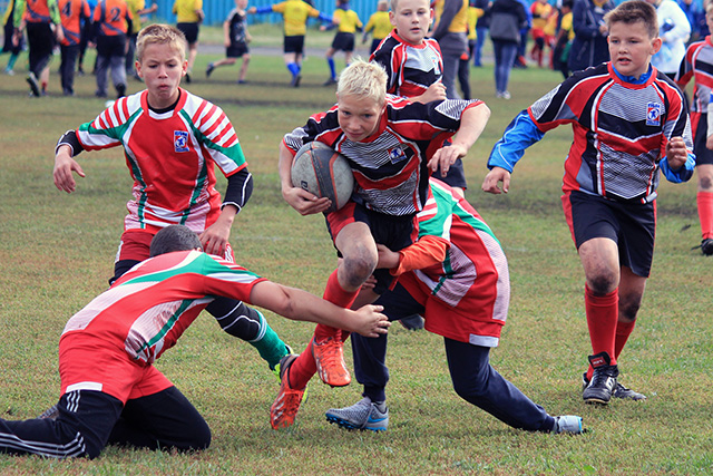 Фестиваль регби